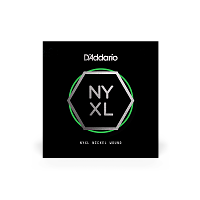 D`ADDARIO NYNW050