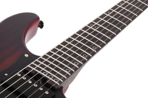 SCHECTER SUN VALLEY SUPER SHREDDER EXOTIC ZIRICOTE фото 2